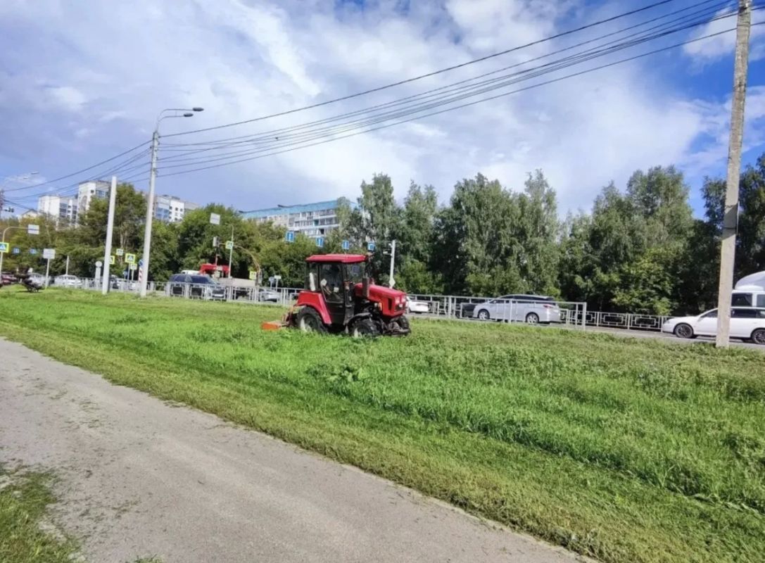 В Барнауле продолжается покос травы на городских зеленых зонах В Барнауле продолжается покос травы на городских зеленых зонах