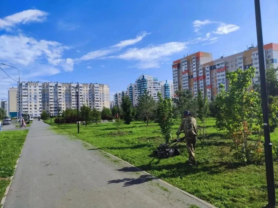 В Барнауле продолжается покос травы на городских зеленых зонах В Барнауле продолжается покос травы на городских зеленых зонах