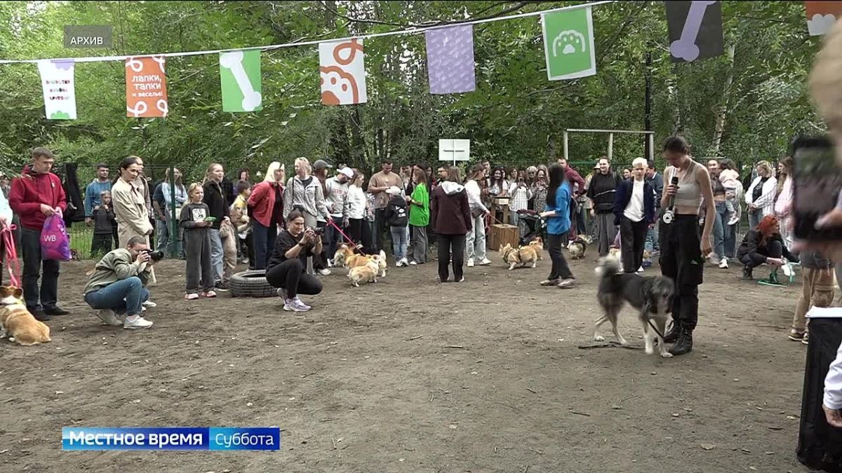 Фестиваль «Лапки тапки» во второй раз пройдёт в Барнауле