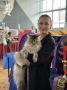 Прямой эфир с выставки кошек в Барнауле
