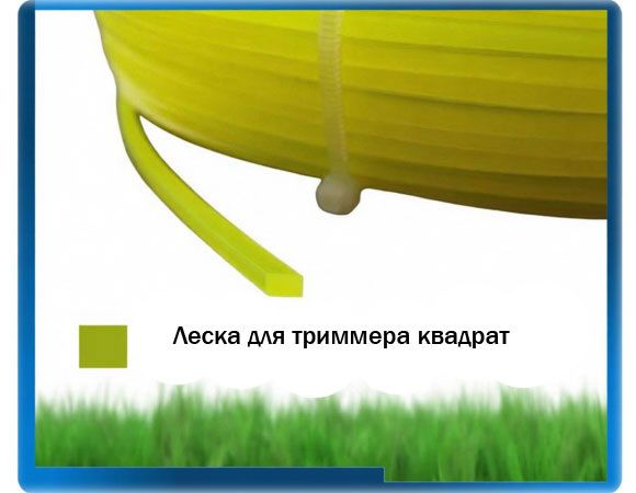 Как выбрать леску для триммера: квадратная или звёздчатая?