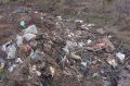 В барнаульском поселке уберут свалку площадью 6 тысяч квадратных метров