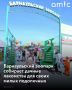 Зоопарк «Лесная сказка» Барнаула запустил традиционный сезон приема дачных излишков для животных