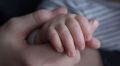 В управлении юстиции Алтайского края назвали популярные и редкие имена, которые давали детям, родившимся в июле 2026 года