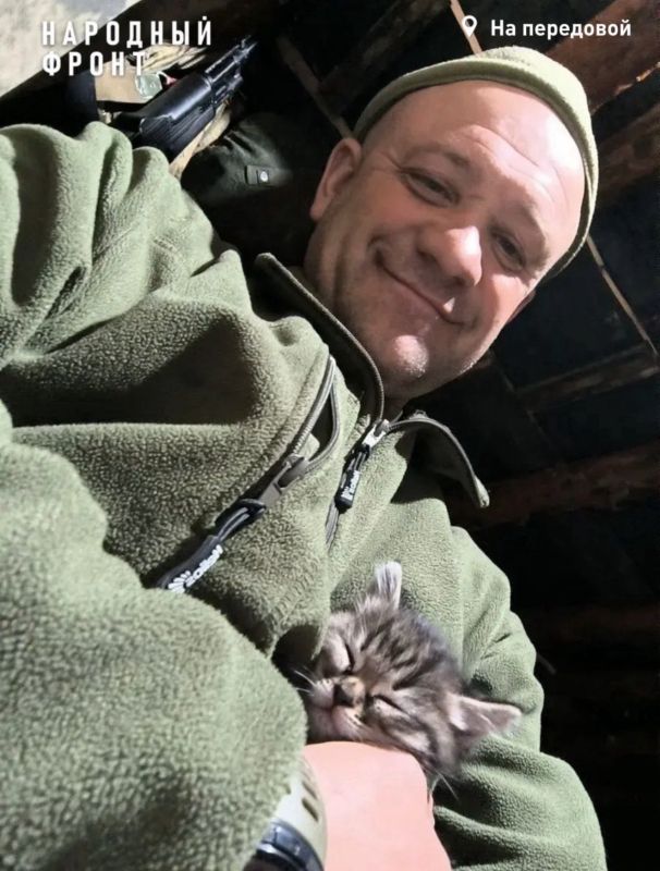 Выкармливал через шприц и назвал Мусей: боец из Алтайского края спас котёнка в зоне СВО