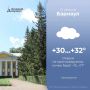 Синоптики прогнозируют жаркую погоду в Барнауле 12 августа.