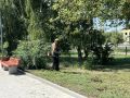 Коммунальщики продолжают работы по содержанию улично-дорожной сети Рубцовска