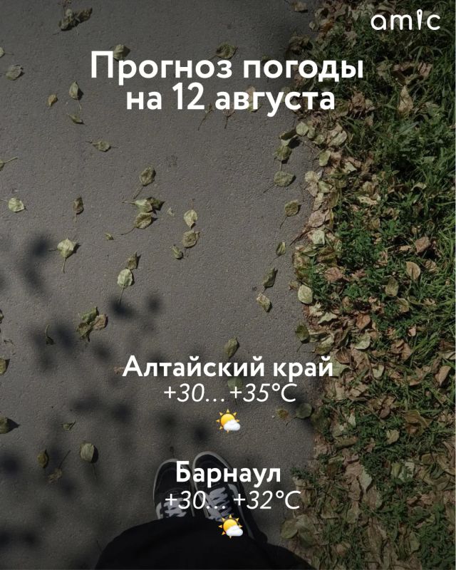 Доброе утро! О погоде в Алтайском крае 12 августа