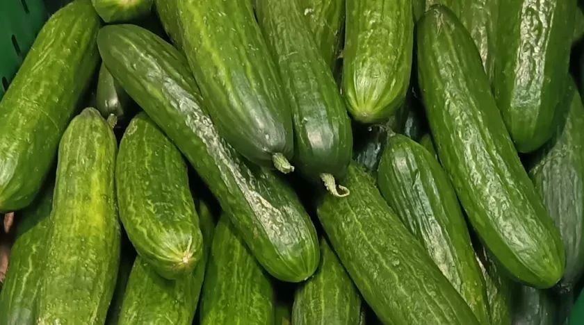 Огурцы стали лидерами по снижению стоимости среди продуктов в России с начала 2026 года