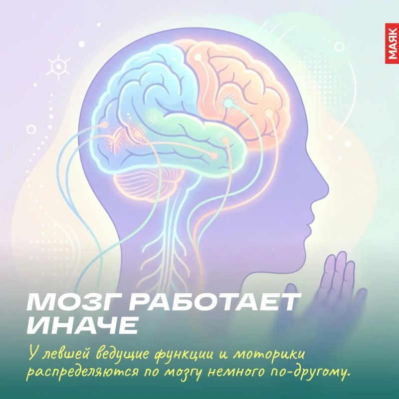 Сегодня — Международный день левшей Сегодня — Международный день левшей