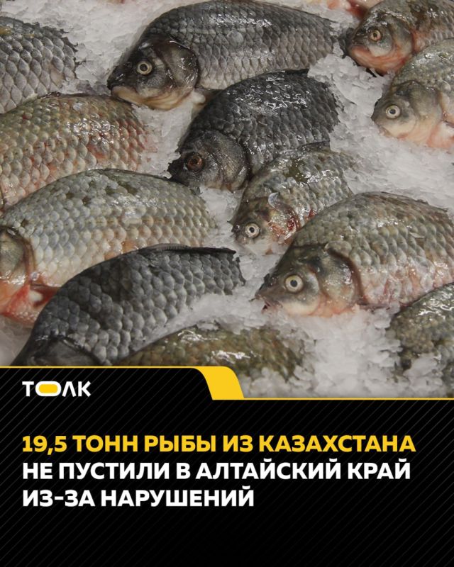 В Алтайский край не пропустили 19,5 тонны свежемороженой рыбы из Казахстана
