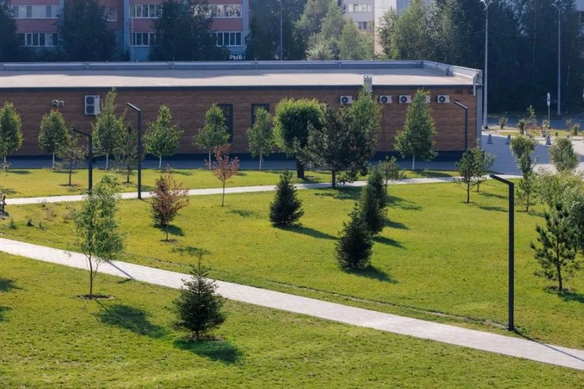В Барнауле открыли новый пляж в парке "Четыре сезона" В Барнауле открыли новый пляж в парке "Четыре сезона"