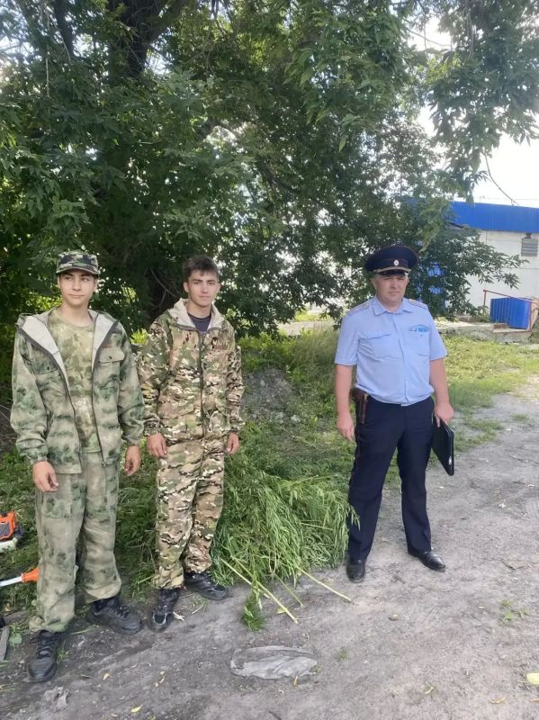 В Барнауле сотрудники полиции провели масштабный День профилактики В Барнауле сотрудники полиции провели масштабный День профилактики