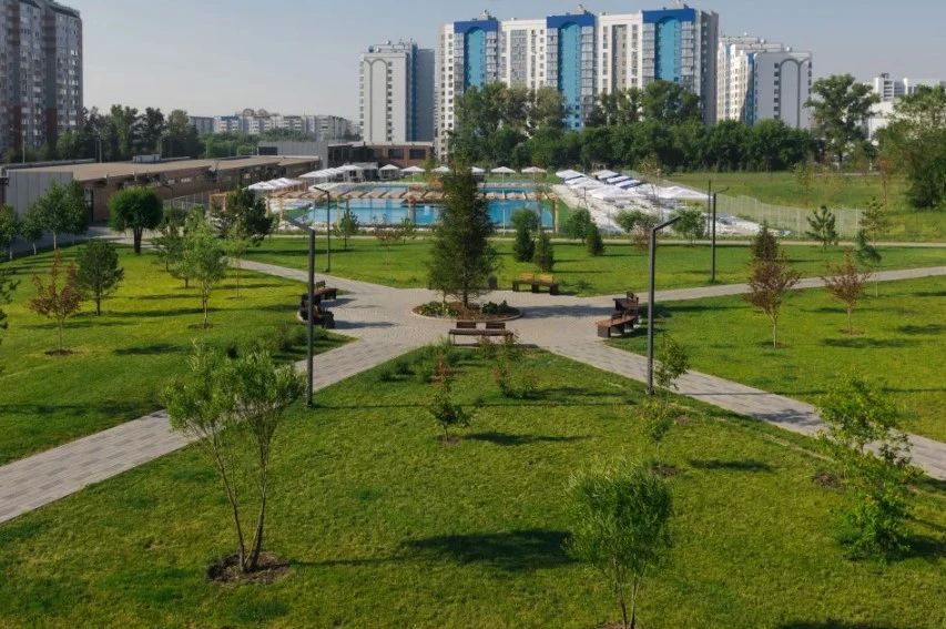 В Барнауле открыли новый пляж в парке "Четыре сезона" В Барнауле открыли новый пляж в парке "Четыре сезона"
