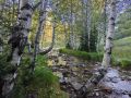 Доброе утро, Рубцовск!. Лето продолжается, и впереди долгожданные выходные, а значит, время для отдыха, прогулок и новых впечатлений