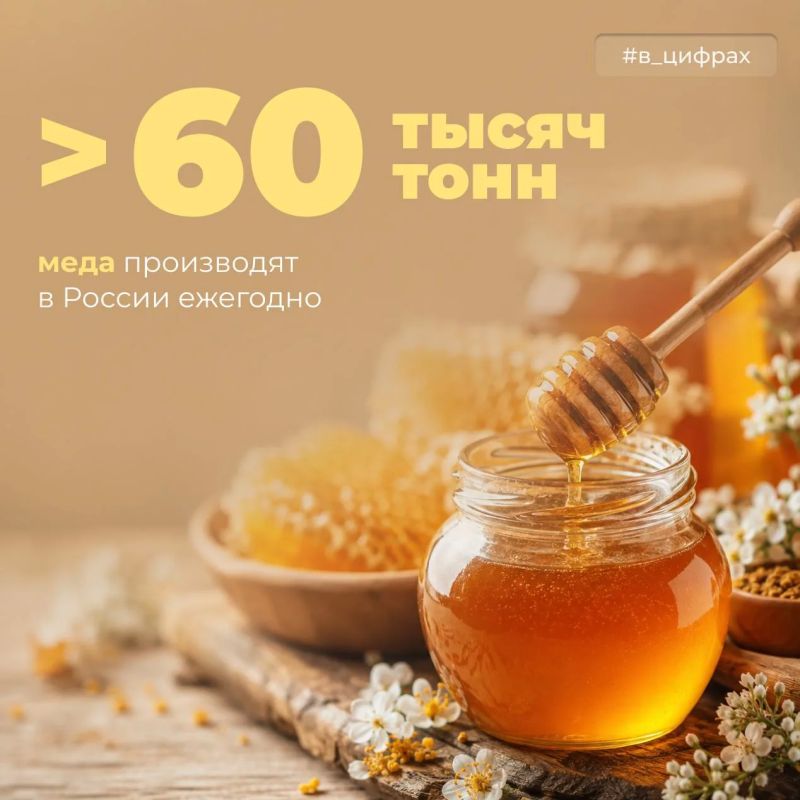 Сегодня – Медовый Спас!. Время самого ароматного символа августа – меда, за которым стоит огромная работа тысяч пасечников по всей стране