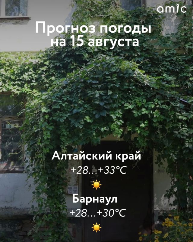 В Алтайском крае наступили очередные знойные выходные, сообщает региональный Гидрометцентр