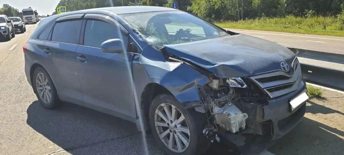 Пожилая женщина погибла под колесами автомобиля на пешеходном переходе в Бийском районе