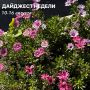 Подводим итог недели. Собрали для вас небольшой дайджест