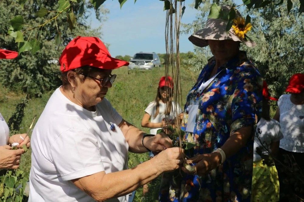 В Бийском и Поспелихинском районах прошли туристические слеты «серебряных» волонтеров и ветеранов В Бийском и Поспелихинском районах прошли туристические слеты «серебряных» волонтеров и ветеранов