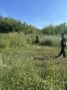 На территории Барнаула проходит второй этап межведомственной комплексной оперативно-профилактической операции «Мак-2026»