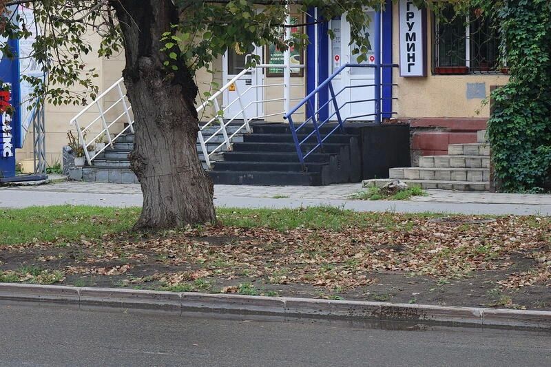 Барнаул по-осеннему зашуршал листьями в августе Барнаул по-осеннему зашуршал листьями в августе