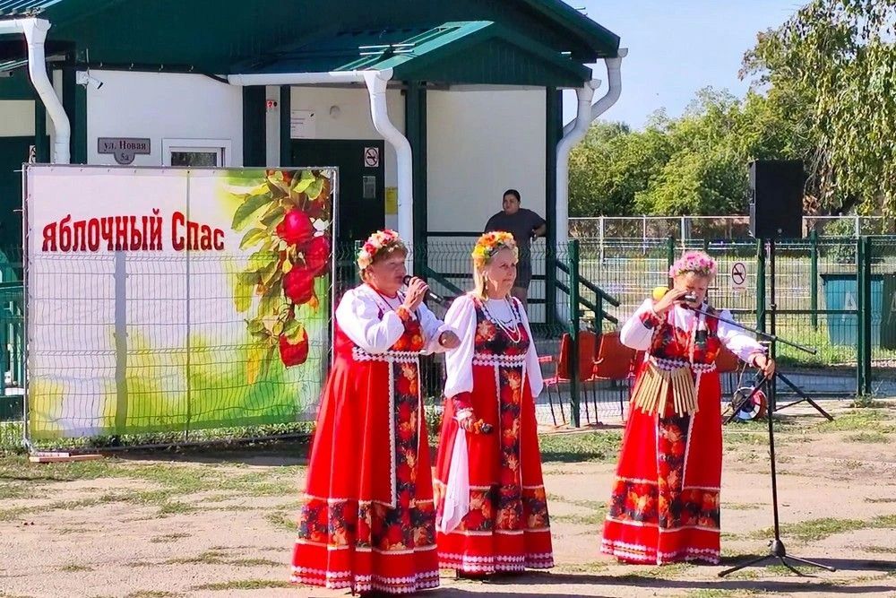 Выставки, ярмарка и концерт: в Рубцовском районе отпраздновали день начала сбора урожая