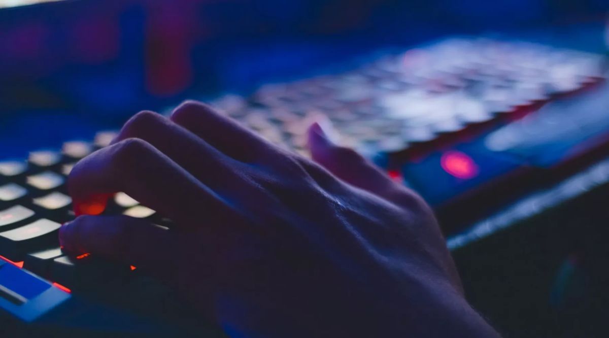 Мошенники научились воровать данные «Госуслуг» через домашний Wi-Fi