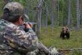 Пятерых медведей убили за сутки в Турочакском районе на Алтае
