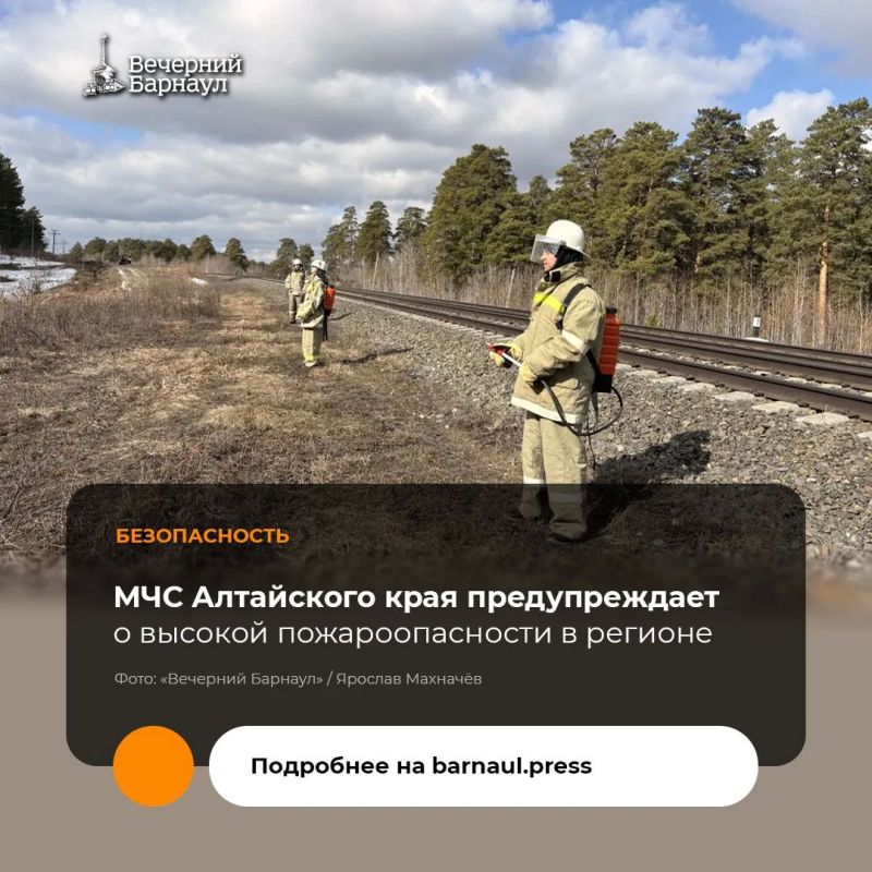 Длительная жаркая погода способствовала высушиванию травяного покрова и лесной подстилки
