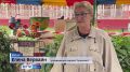 В барнаульском парке «Арлекино» во время работы аттракциона часть конструкции сорвалась и упала вниз