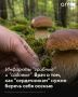 С наступлением осени для людей, которые страдают сердечно-сосудистыми заболеваниями, появляется множество новых рисков