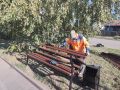 На аллее по проспекту Рубцовскому обновили лавочки