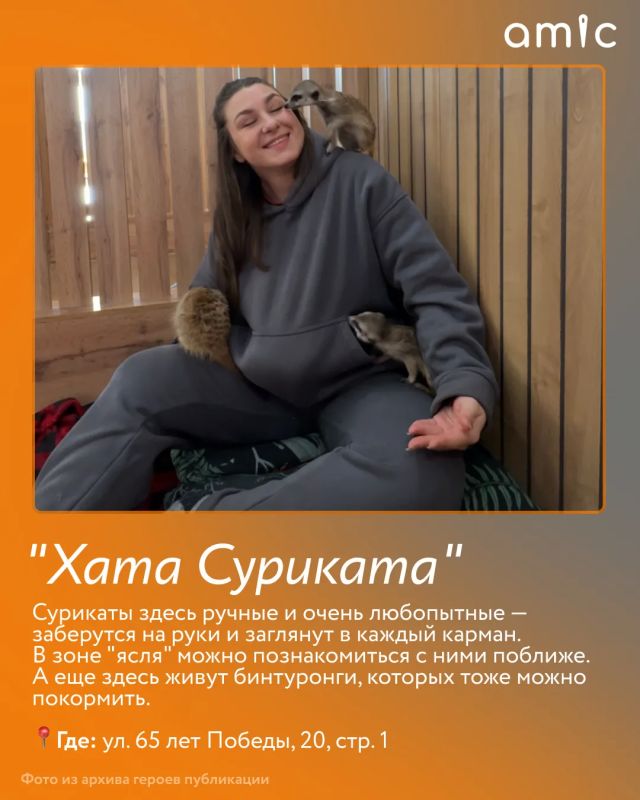 Две Юли в Барнауле: куда нужно сходить с ребенком за неделю до школы Две Юли в Барнауле: куда нужно сходить с ребенком за неделю до школы