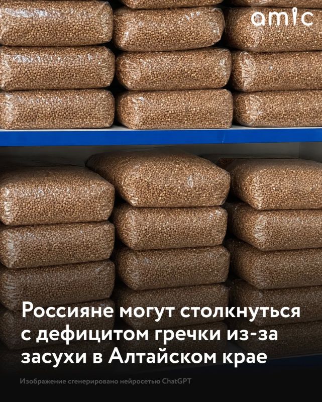 Половина российской гречки собирается в Алтайском крае, который в 2026 году столкнулся с летней засухой, пишет "Коммерсант"