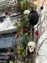 Входную группу одного из барнаульских заведений украсили черепами