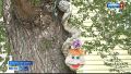 � ���������� ������ ���������� �������� ���� ������ ������ ������ ������ ��� ����� � ��������