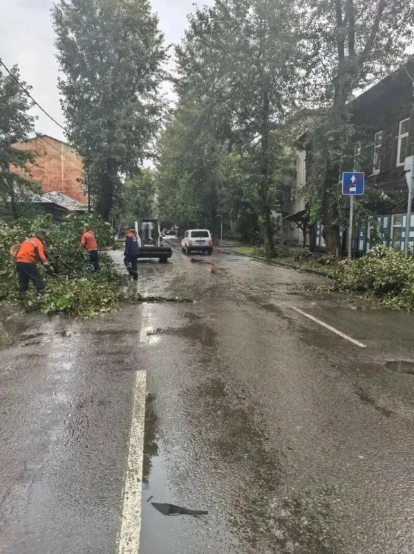 В Иркутской области и Бурятии прошли обильные дожди с ураганным ветром В Иркутской области и Бурятии прошли обильные дожди с ураганным ветром