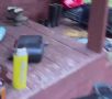 Медведица с двумя медвежатами ворвалась в дом охотников в Республике Алтай и разгромила его, сообщает "Инцидент Барнаул"