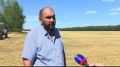 Аграриев Алтайского края не радует закупочная цена на зерно