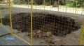 � �������� �� ����������� ������� �������� ��������, � ������� ����� ���� 18 ����