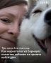 Алтайском крае все больше людей ищут новые способы помогать окружающим — не только переводами денег, но и своим временем