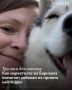 Алтайском крае все больше людей ищут новые способы помогать окружающим — не только переводами денег, но и своим временем