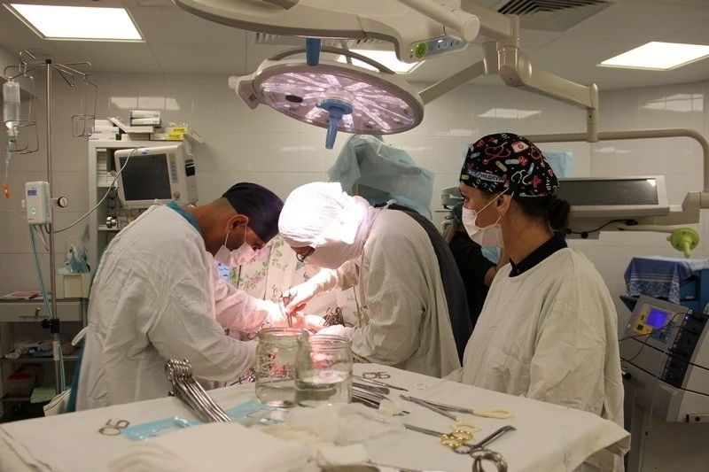 Пациента с гигантской опухолью желудка спасли в Барнауле