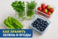Как сохранить зелень и ягоды свежими на долгое время