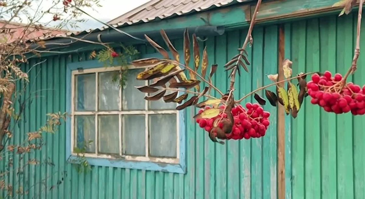 В Алтайском крае реализуется проект «Друг отца»