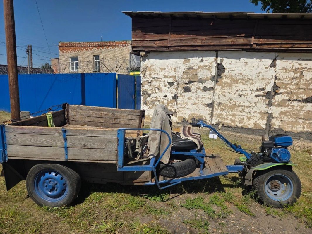 Нарубил на приговор: житель Баевского района привлечен к уголовной ответственности за незаконную рубку лесных насаждений
