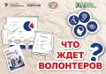 Форум «Волонтеры на выборах