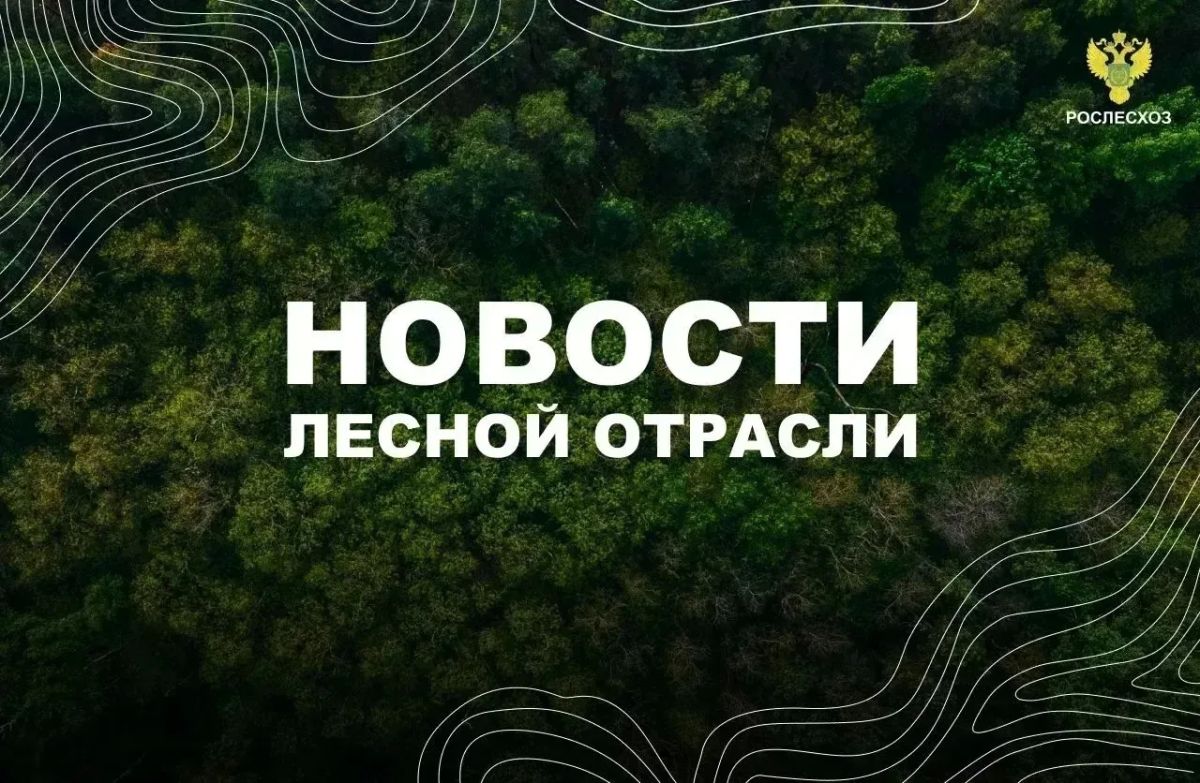AK&M: Рослесхоз: в тушении лесных пожаров в ЯНАО задействовано около 1 тыс