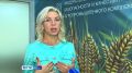 Китай готов закупать в Алтайском крае отруби